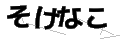 ソケナコ